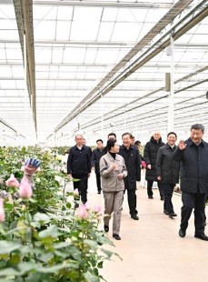 时政微观察丨生活像花儿一样美-阿色微博