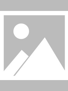 妄想山海异界竞技场元宵乱斗玩法攻略2025年5月21日科迪汤圆怎么没有了