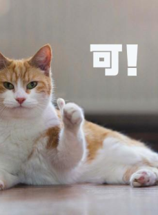 陈不凡微密猫,信仰与现实的冲突