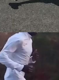 奔跑的晶螺儿,奔跑的晶螺儿如何凭借内容创新与社群运营实现成功