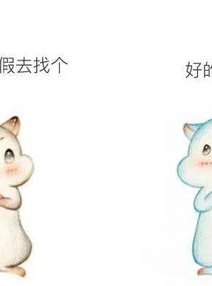 脑婆睡醒啦,从网络新星到人气女神的蜕变之路